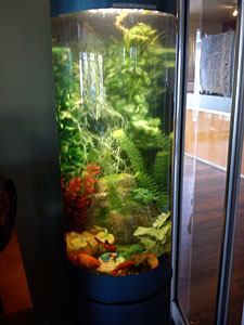 Aquariums & Fish Tanks Auckland  Design, Installation & Cleaning